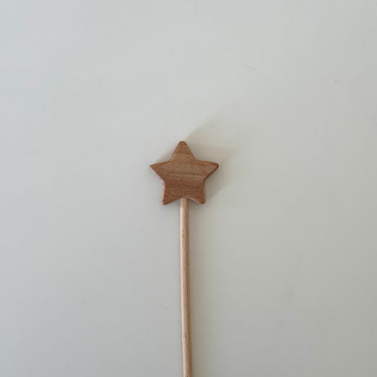 Wooden Star Wand